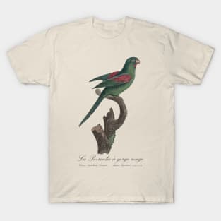 La Perruche a Gorge Rouge Parakeet - Jacques Barraband 19th century Illustration T-Shirt